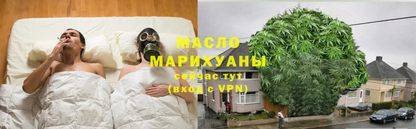 сатива Корсаков
