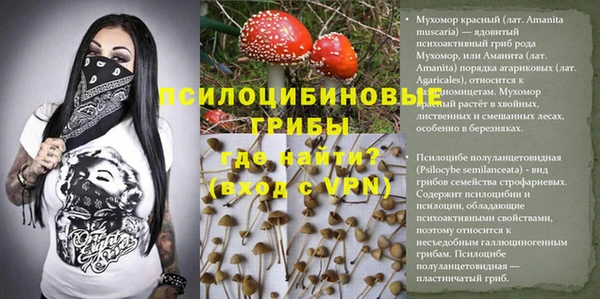 стафф Валуйки