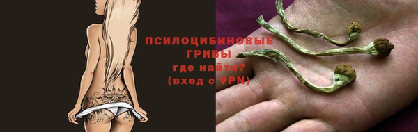 прущая мука Гусиноозёрск