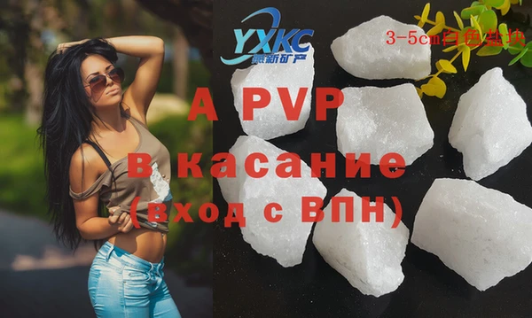 сатива Корсаков